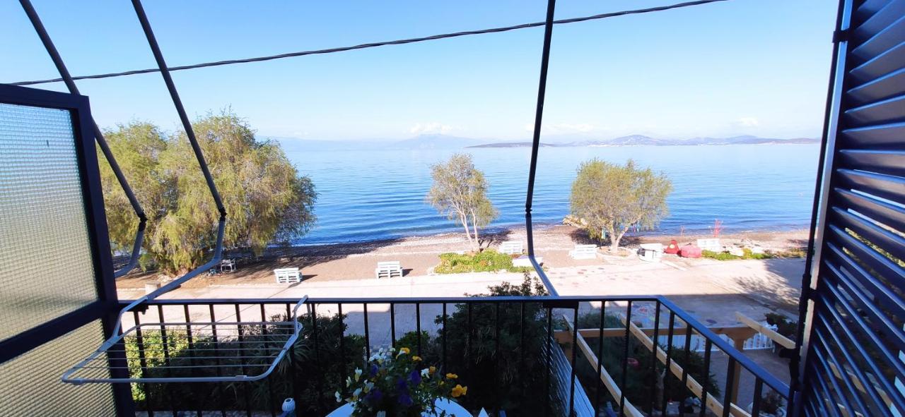 Vikos Beach Apartments Paralia Irion Eksteriør bilde