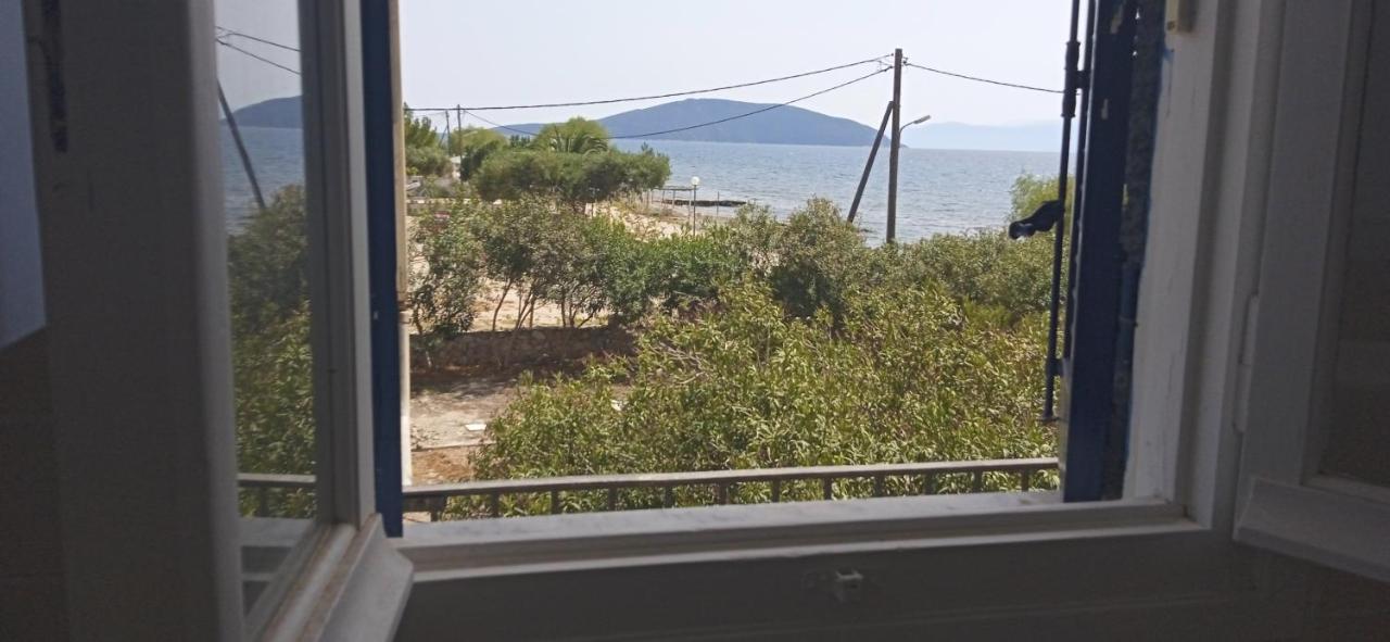 Vikos Beach Apartments Paralia Irion Eksteriør bilde