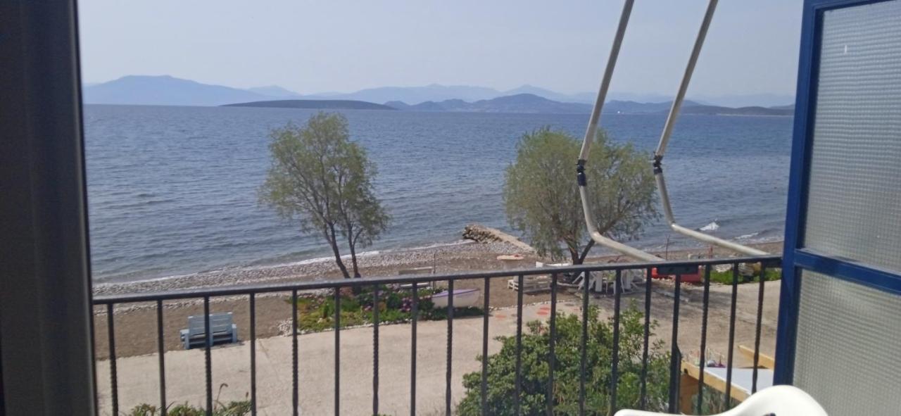 Vikos Beach Apartments Paralia Irion Eksteriør bilde