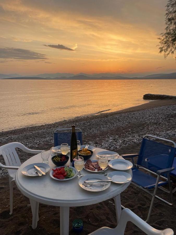 Vikos Beach Apartments Paralia Irion Eksteriør bilde